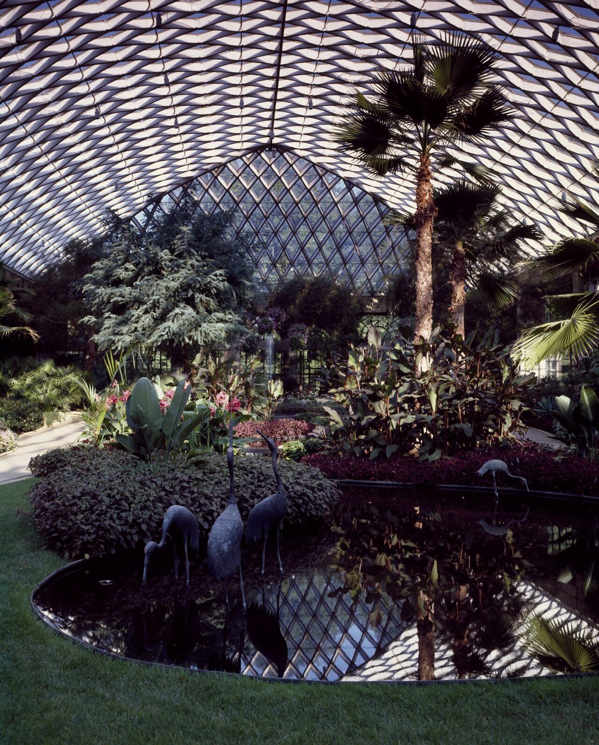 spring flower displays and fountains at Longwood Gardens