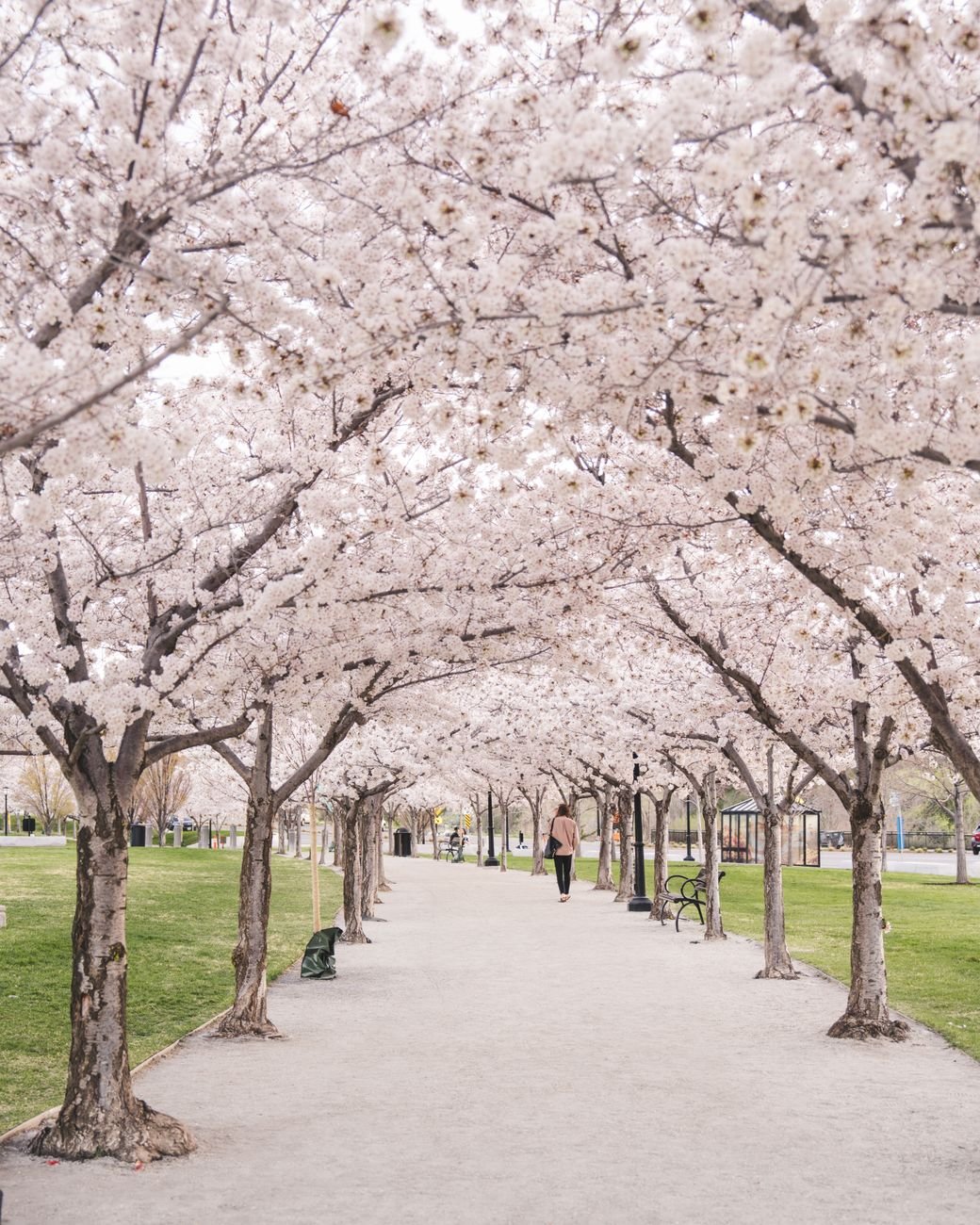 spring things to do in philadelphia